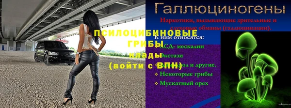 СК Надым