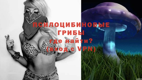 стаф Наволоки