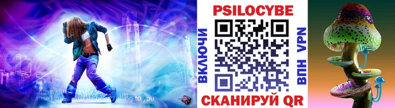 дарк нет телеграм  где купить наркотик  Кудымкар  Псилоцибиновые грибы Psilocybine cubensis 