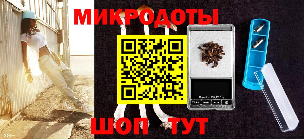 Псилоцибиновые грибы прущие грибы Кудымкар