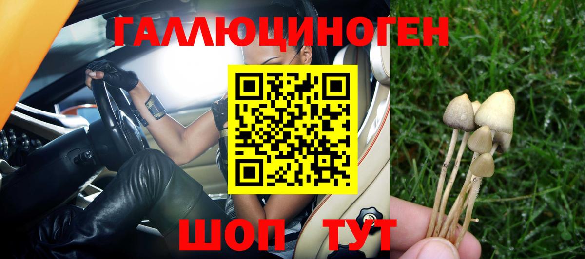 Псилоцибиновые грибы мухоморы Кудымкар