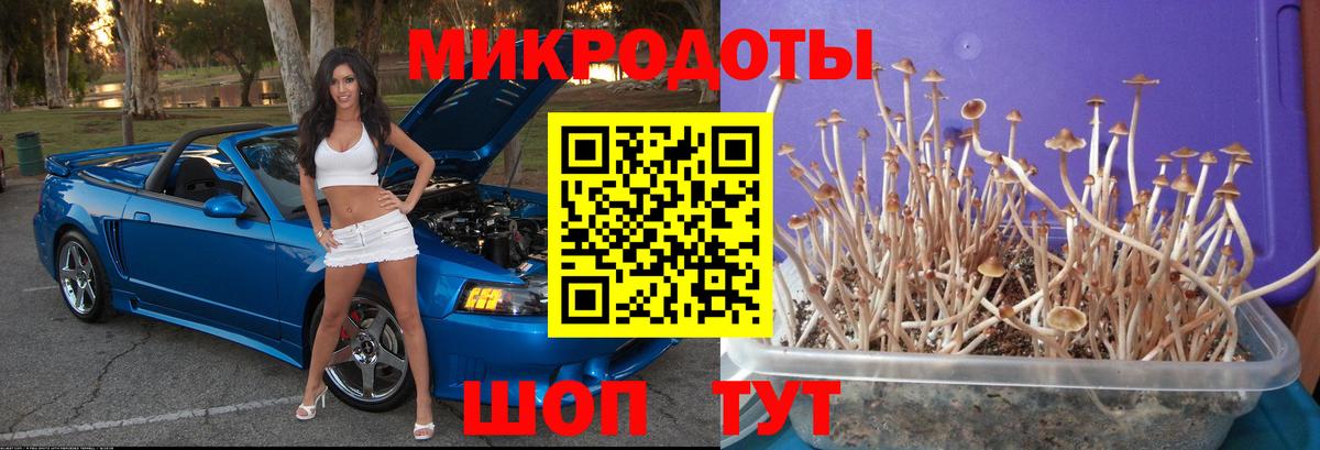 Псилоцибиновые грибы мухоморы  Вход с VPN  Псилоцибиновые грибы MAGIC MUSHROOMS  Кудымкар 